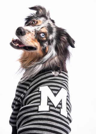 Woof '18