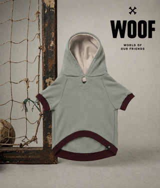 The “Training” Hoodie gris / vino