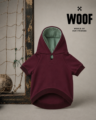 The “Training” Hoodie vino / gris