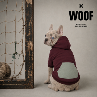 The “Training” Hoodie vino / gris perro